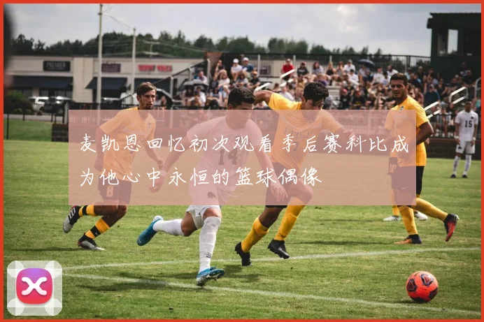 麦凯恩回忆初次观看季后赛科比成为他心中永恒的篮球偶像