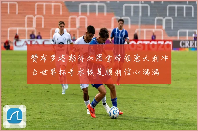 赞布罗塔期待加图索带领意大利冲击世界杯手术恢复顺利信心满满