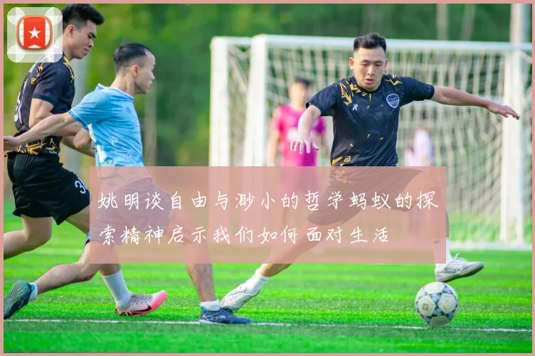 姚明谈自由与渺小的哲学蚂蚁的探索精神启示我们如何面对生活